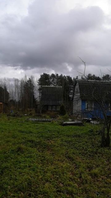 Дача с нуля