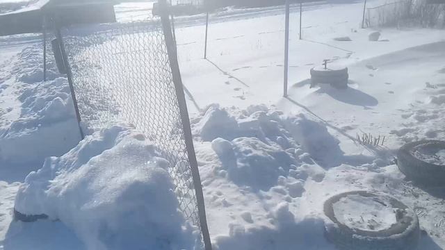17 февраля 2025 14:13