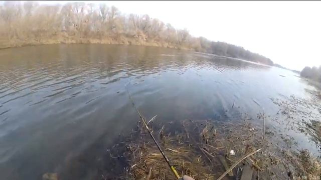 8 марта отметили на реке