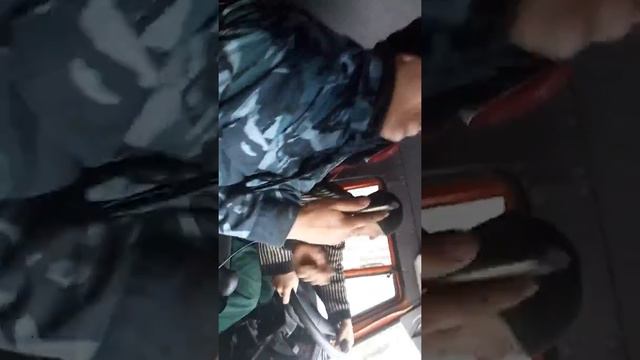 Кароль фанеры,дорога домой