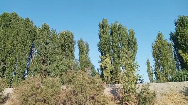 Бабье лето. Сузак. 030922