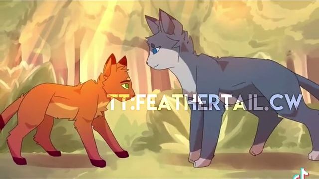 коты воители