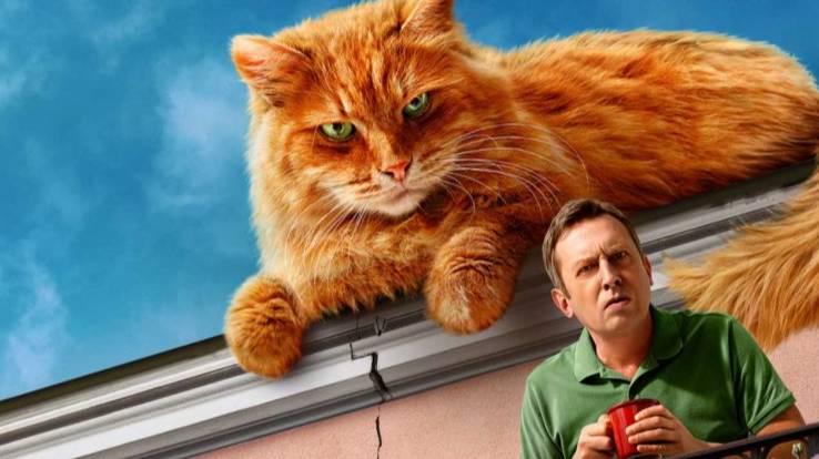 Котострофа 2 сезон 1 серия (Премьера 2025)