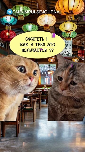 Ещё #мыкотики #вмем #разговор #анекдот #шутки #животные #юмор #кошки #смешное #мемы #скетчи

@impuls