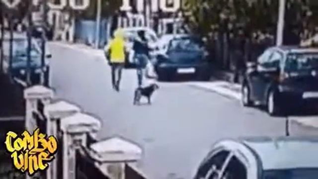 Собачка спас от грабителя🐕