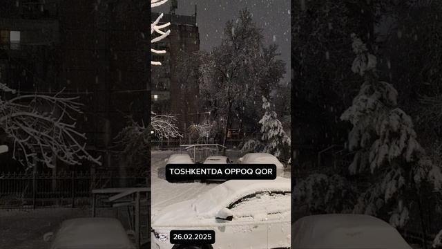 TOSHKENTDA OPPOQ QOR. | 26.02.2025 | 02:00