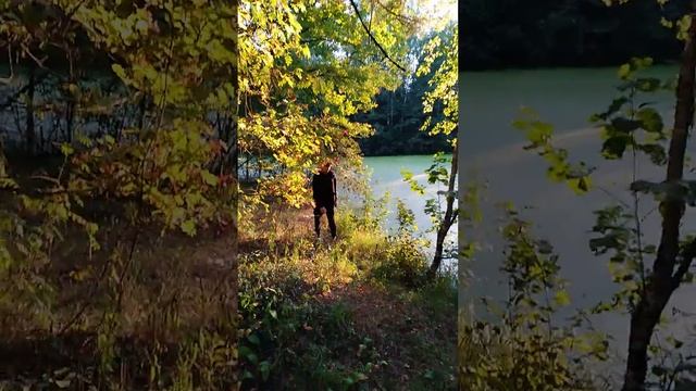 Нашли водоём полностью затянутый ряской в лесу