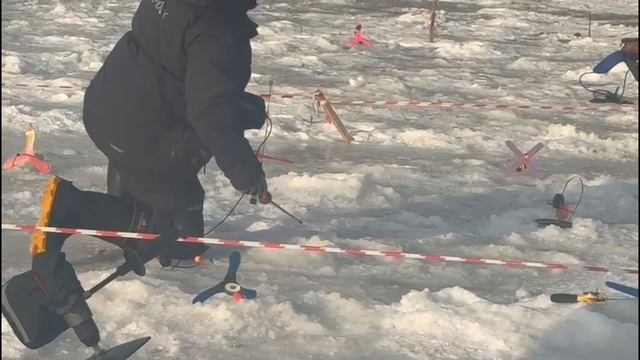 Поимки Основной водоем