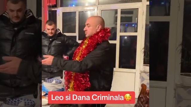 Dana Criminale leo de la strehaia