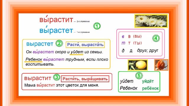 Russian Grammar Explained in English ВЫРАСТИТ ВЫРАСТЕТ