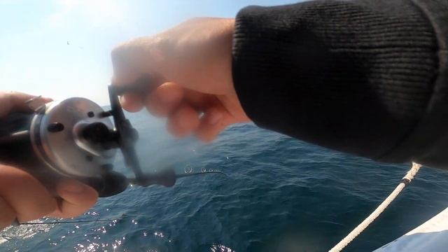 Ocean Fluke Fishing! Captree Pride, Long Island