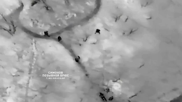 Операторы дрона 1-й танковой армии  "затрёхсотили" группу украинских боевиков, прибывших на передовы