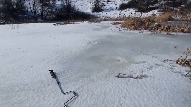 Рыбалка 02.03.24 платный пруд в Рыбинских Будах Курская обл. Закрытие зимнего сезона 2 карасиками.