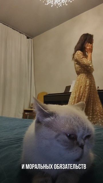 Серьезный разговор с кошкой