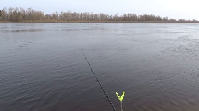 На Припять с фидером. Разведка боем.