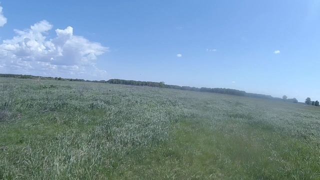 Круглое деревня в Горьковском районе Омской области/Krugloy village in  Omsk region