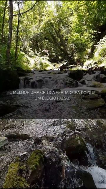 FRASE CURTA #113 - FRASE PARA STATUS - 2022