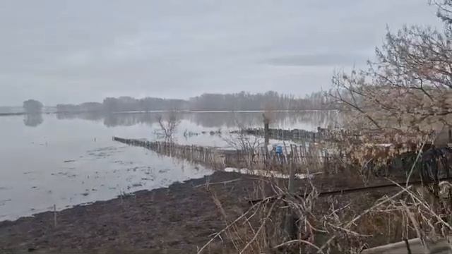 В селе Новоникольское вода зашла на огороды, 10.04.2024