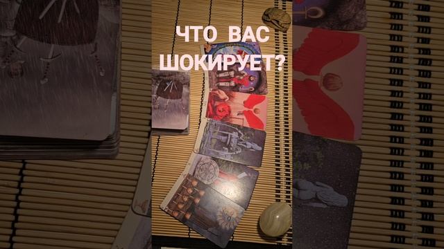 ЧТО ВАС ШОКИРУЕТ ?