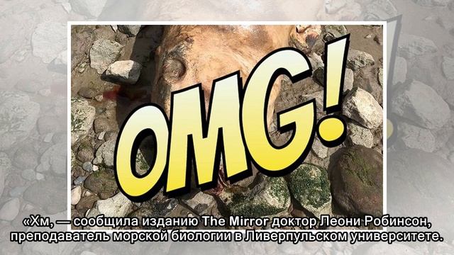 Жуткий монстр с клыками и шипами найден на берегу реки в Британии! Ученые и те в недоумении
