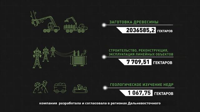 Дальневосточная лесоустроительная компания