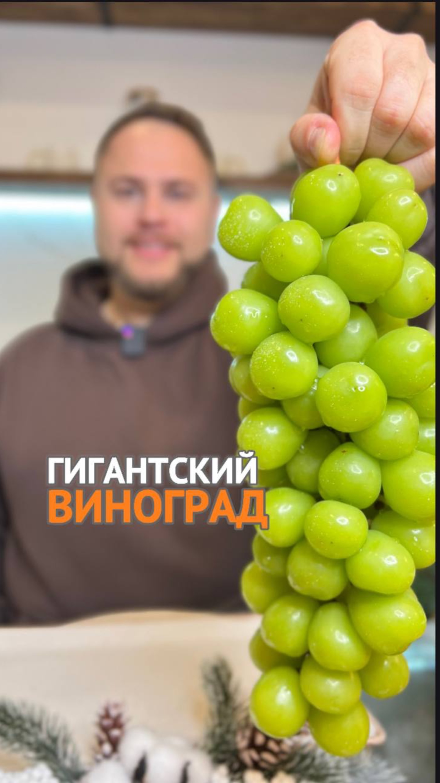 Виноград Мускат Шайн