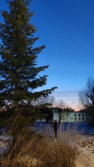 Пущинские пейзажи #piano #pianomusic #пущино #пущинонаоке #pushchino