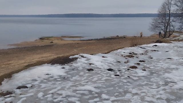 Щука на отводной поводок//Десногорское водохранилище//Сброс воды#щуканаспининг