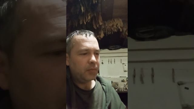 ТРАПЕЗОНД 92 земля и табаки 28/03