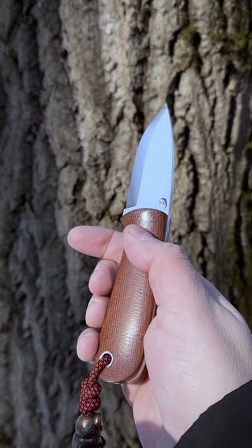 Grandpa Beaverknife