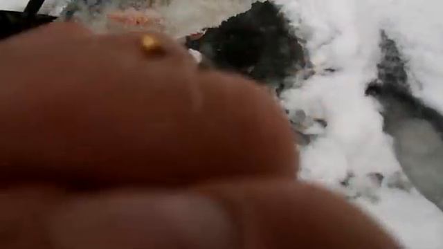 Зимняя рыбалка с ночевкой в Жавинке .