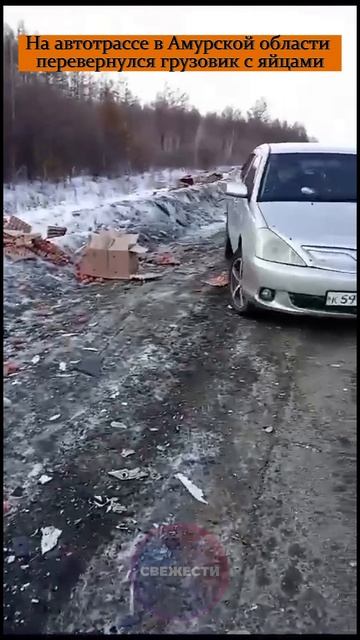 На автотрассе в Амурской области перевернулся грузовик с яйцами
