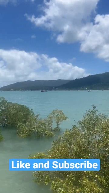 Great Views in Airlie Beach😍 #australia  #travelling #shorts #nature #water #vacation #travel