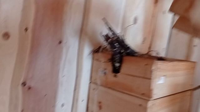 ППШ. Зачем он нужен?