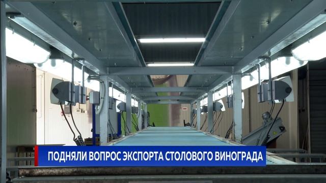 Подняли вопрос экспорта столового винограда