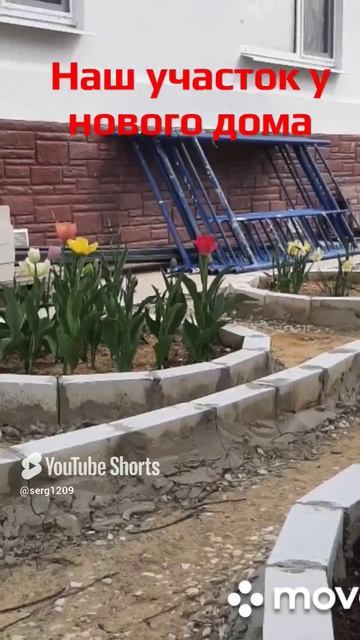 Огород у нового дома
