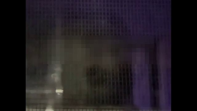 Чубо-мухи над приграничьем РФ_ 26 02 25