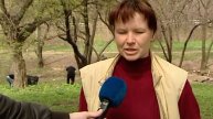 Как мы попали в телевизор