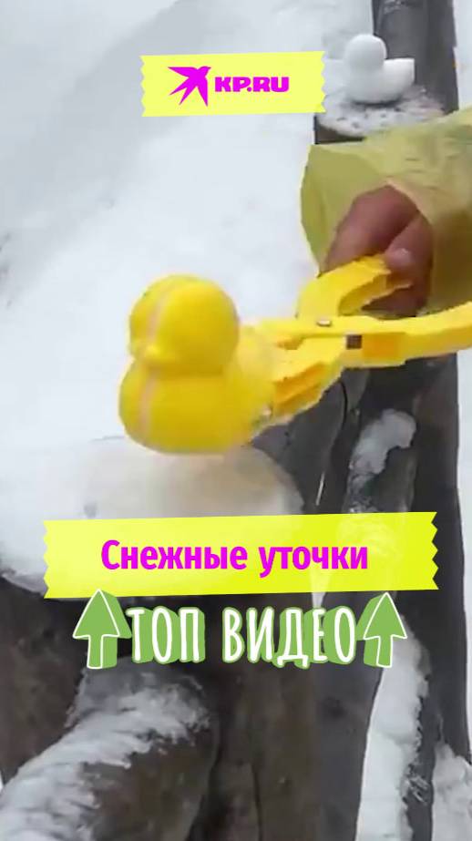 Снежные уточки