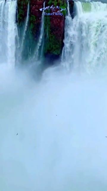 Iguazu Falls : World’s Largest Waterfalls | Made of 275 Waterfalls | Argentina & Brazil #Shorts