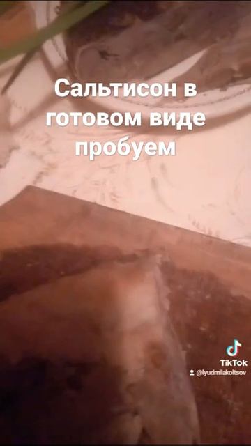 Сальтисон в готовом виде .Пробуем