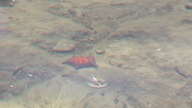 ЗВЕЗДА ПОД ВОДОЙ