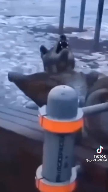1000001473.mp4