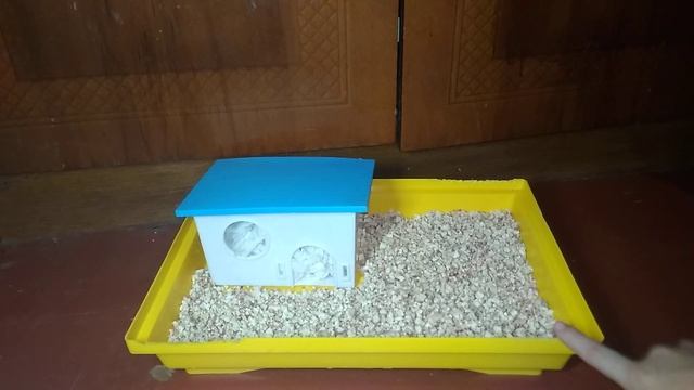 Делаю ген уборку у хомячка 🐹🐹♥️