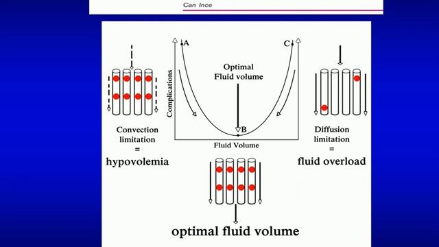 Non invasive assessment of perfusion Can Ince 2014