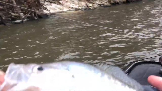 Crappie fishing secret you don’t want to miss! What is that triangle thing on your reel for?