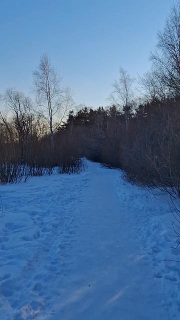 Зима ❄️