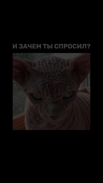 Быть музыкантом?