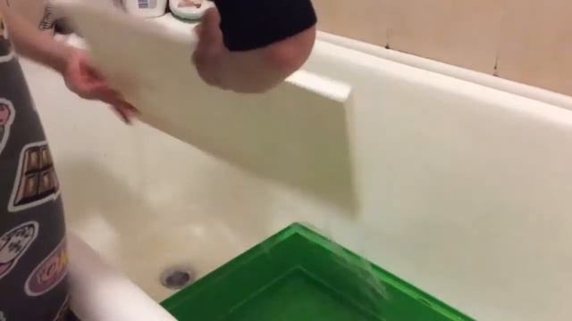 Полная уборка в клетке попугая🐣