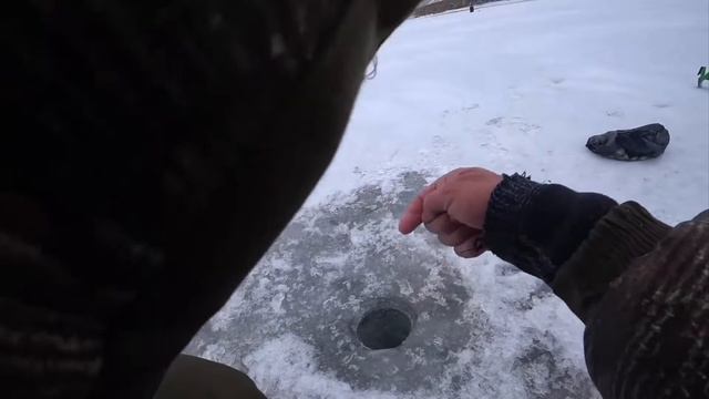 ВЫ ТАКОГО НЕ ВИДЕЛИ! ПРОСТО ТОННЫ ЧЕХОНИ! ЗИМНЯЯ РЫБАЛКА